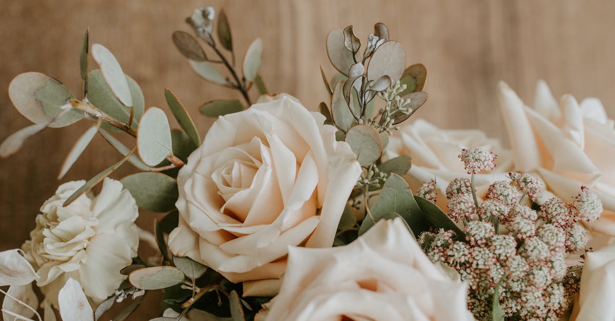 Propane grill leaking from valve stem - Bunch of white roses with decorative branches Propane grill leaking from valve stem - Bunch of white roses with decorative branches