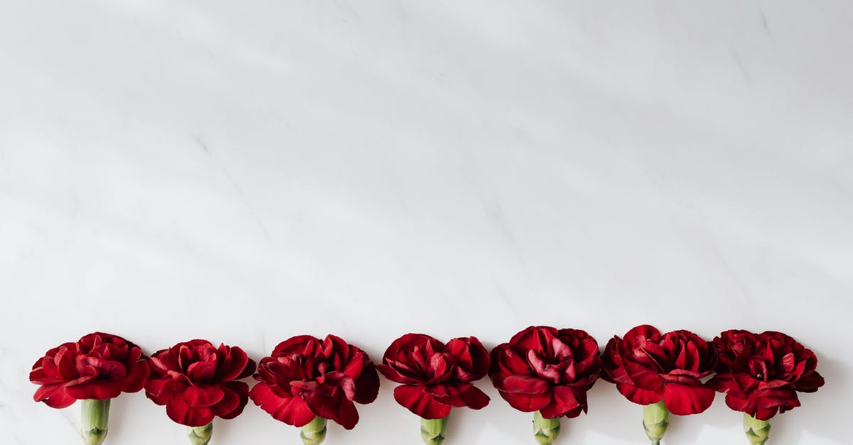 Propane grill leaking from valve stem - Top view of delicate wine red carnations in row on white marble table in soft daylight Propane grill leaking from valve stem - Top view of delicate wine red carnations in row on white marble table in soft daylight