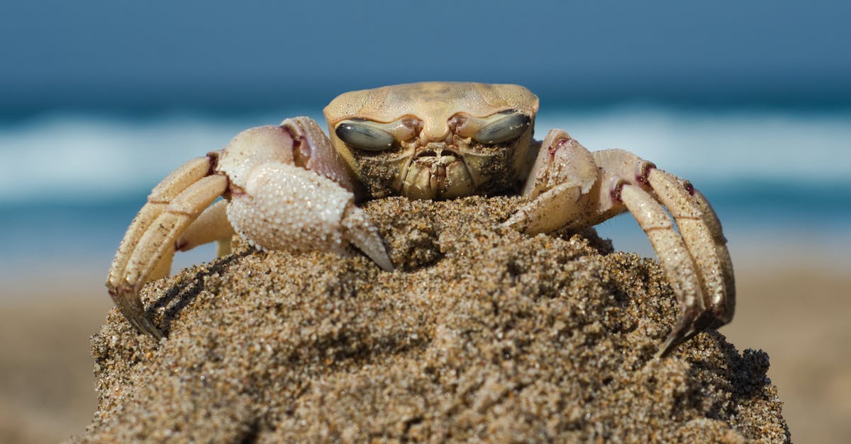 Proper freezing for King Crab Legs - Brown Crab on White Sand