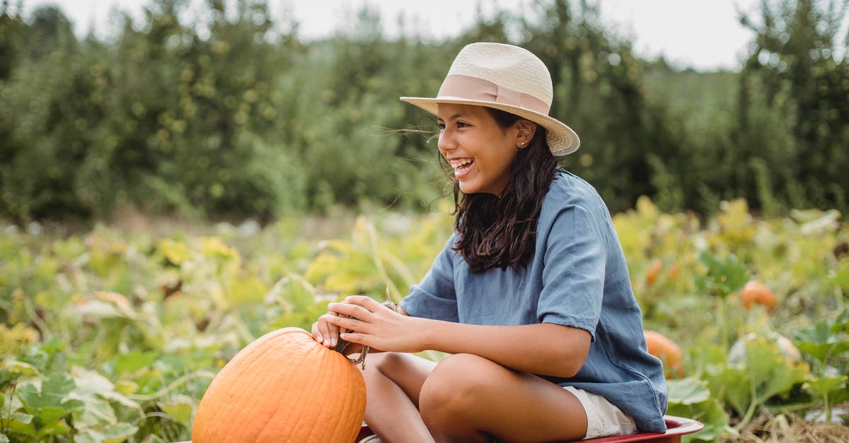 Pumpkin mousse looks grainy and slightly watery - Happy ethnic girl with big pumpkin sitting with crossed legs in garden cart near plants while looking forward on farmland Pumpkin mousse looks grainy and slightly watery - Happy ethnic girl with big pumpkin sitting with crossed legs in garden cart near plants while looking forward on farmland