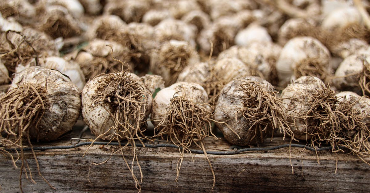 Quality of Garlic - Brown Round Fruits on Brown Wooden Surface Quality of Garlic - Brown Round Fruits on Brown Wooden Surface