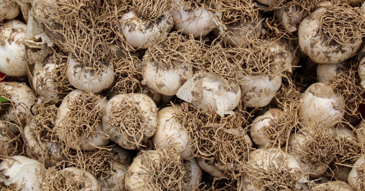 Quality of Garlic - White and Brown Round Fruits Quality of Garlic - White and Brown Round Fruits
