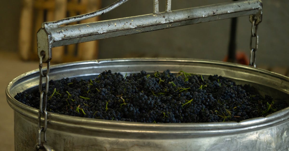 Raw liver keeping time in alcohol - Metal bowl with fresh bunches of grapes for making delicious wine in winery Raw liver keeping time in alcohol - Metal bowl with fresh bunches of grapes for making delicious wine in winery
