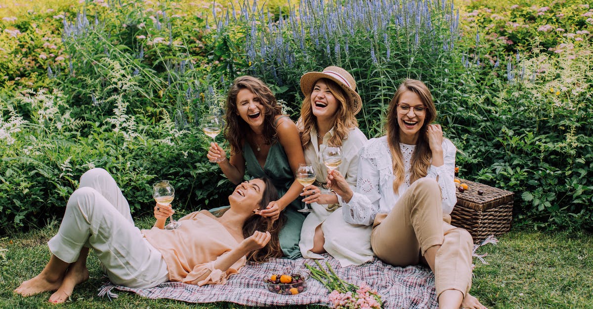 Recipes of Turkish drinks in Voltaire's Novel - Women Sitting on Green Grass Field Recipes of Turkish drinks in Voltaire's Novel - Women Sitting on Green Grass Field