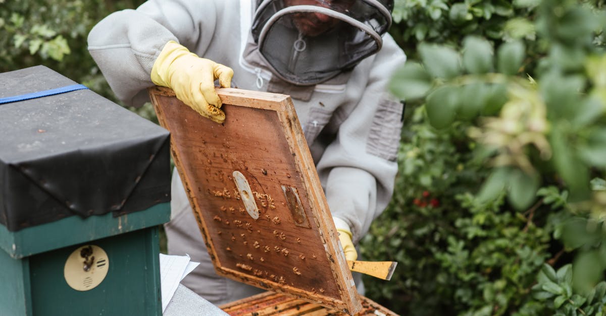References on food safety? - Crop man harvesting honey in countryside area References on food safety? - Crop man harvesting honey in countryside area
