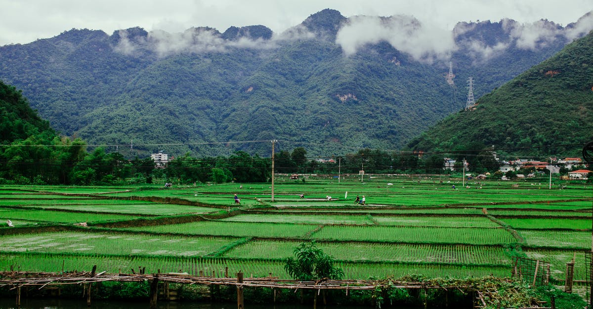 Reheating rice for 25 guests - Green Grass Field Near Lake Under Cloudy Sky Reheating rice for 25 guests - Green Grass Field Near Lake Under Cloudy Sky