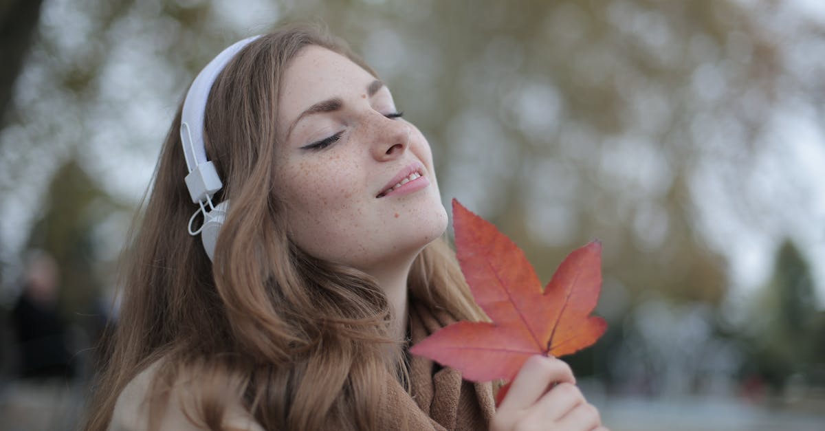Remedy a sourdough which used milled red winter wheat - Young satisfied woman in headphones with fresh red leaf listening to music with pleasure while lounging in autumn park Remedy a sourdough which used milled red winter wheat - Young satisfied woman in headphones with fresh red leaf listening to music with pleasure while lounging in autumn park