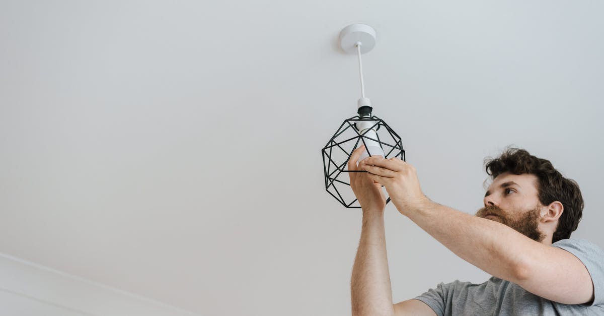 Replacement for Appenzeller? - Man screwing light bulb into lamp Replacement for Appenzeller? - Man screwing light bulb into lamp
