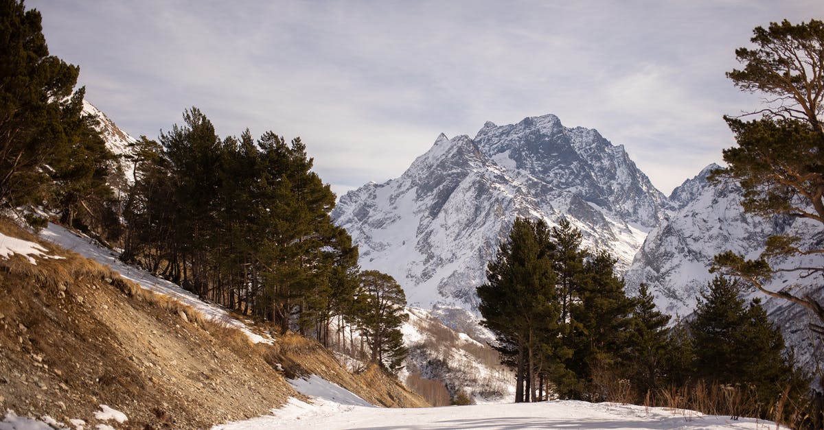 Replacement for ground almonds in a joconde sponge - Snow Covered Mountain Replacement for ground almonds in a joconde sponge - Snow Covered Mountain