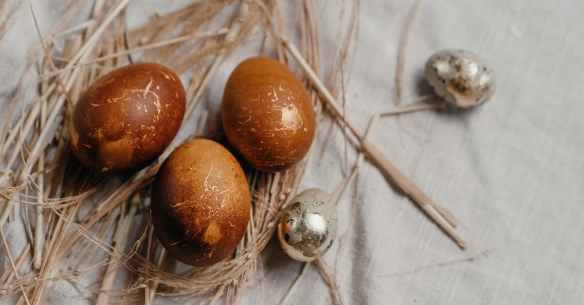 Replacing egg whites with whole eggs when baking cookies - Brown Round Fruit on Brown Dried Leaves Replacing egg whites with whole eggs when baking cookies - Brown Round Fruit on Brown Dried Leaves