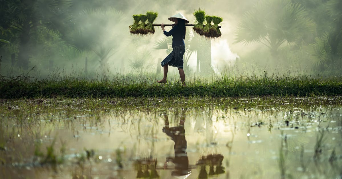 Rice finger rule for figuring water quantity - Man in Water Rice finger rule for figuring water quantity - Man in Water