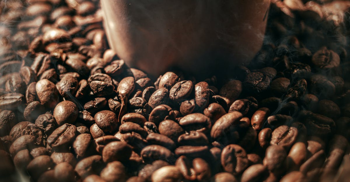 Roasted Hazelnut soil? - Coffee Beans on Black and Gray Surface Roasted Hazelnut soil? - Coffee Beans on Black and Gray Surface