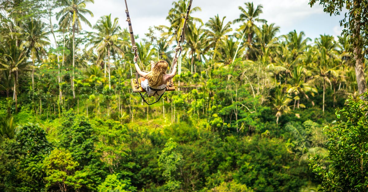 Salmon with green back - Woman Riding Giant Swing