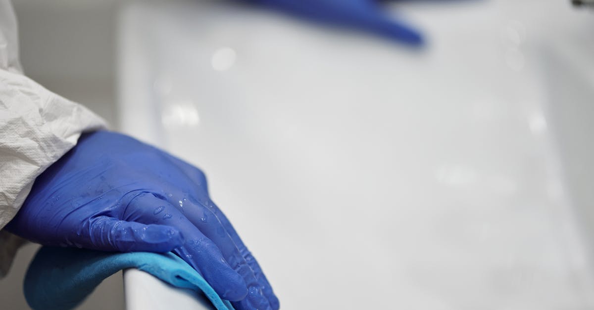 Sanitization, disinfection, sterilization of Dishwasher? - Person in Blue Gloves Cleaning White Sink Sanitization, disinfection, sterilization of Dishwasher? - Person in Blue Gloves Cleaning White Sink