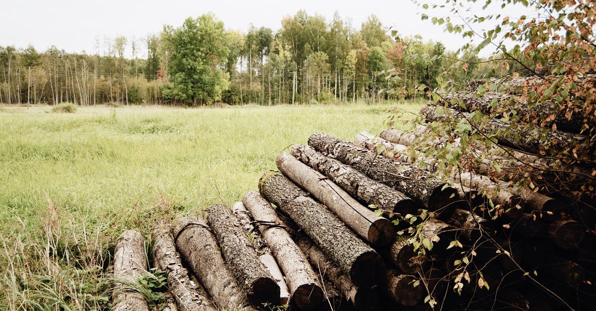 Sardines without the nasty breath? - Timber logs stacked up in pile on grassy field against colorful trees and cloudy sky on autumn nasty day in countryside Sardines without the nasty breath? - Timber logs stacked up in pile on grassy field against colorful trees and cloudy sky on autumn nasty day in countryside