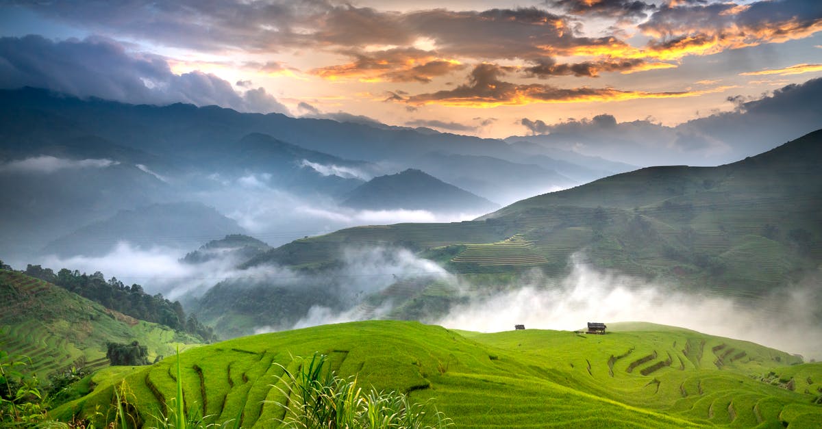 Season rice in Zojirushi - Breathtaking view of green rice plantations growing on hills with white fog near hut at sunrise under cloudy sky Season rice in Zojirushi - Breathtaking view of green rice plantations growing on hills with white fog near hut at sunrise under cloudy sky