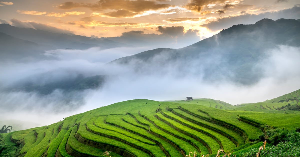 Season rice in Zojirushi - Green rice fields on mountains near mist Season rice in Zojirushi - Green rice fields on mountains near mist