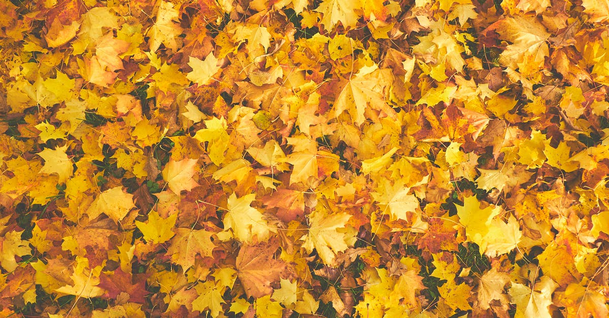 secret of making maple candy (texture)? - Yellow Dry Maple secret of making maple candy (texture)? - Yellow Dry Maple