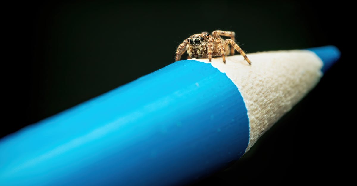 Sharpen a blue cheese dressing? - Brown spider on blue pencil Sharpen a blue cheese dressing? - Brown spider on blue pencil