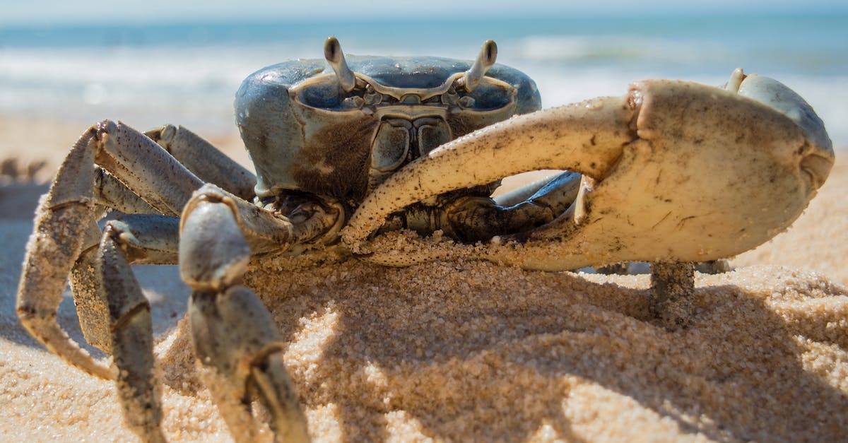 Shore caught crabs - Crab on Beach Shore caught crabs - Crab on Beach