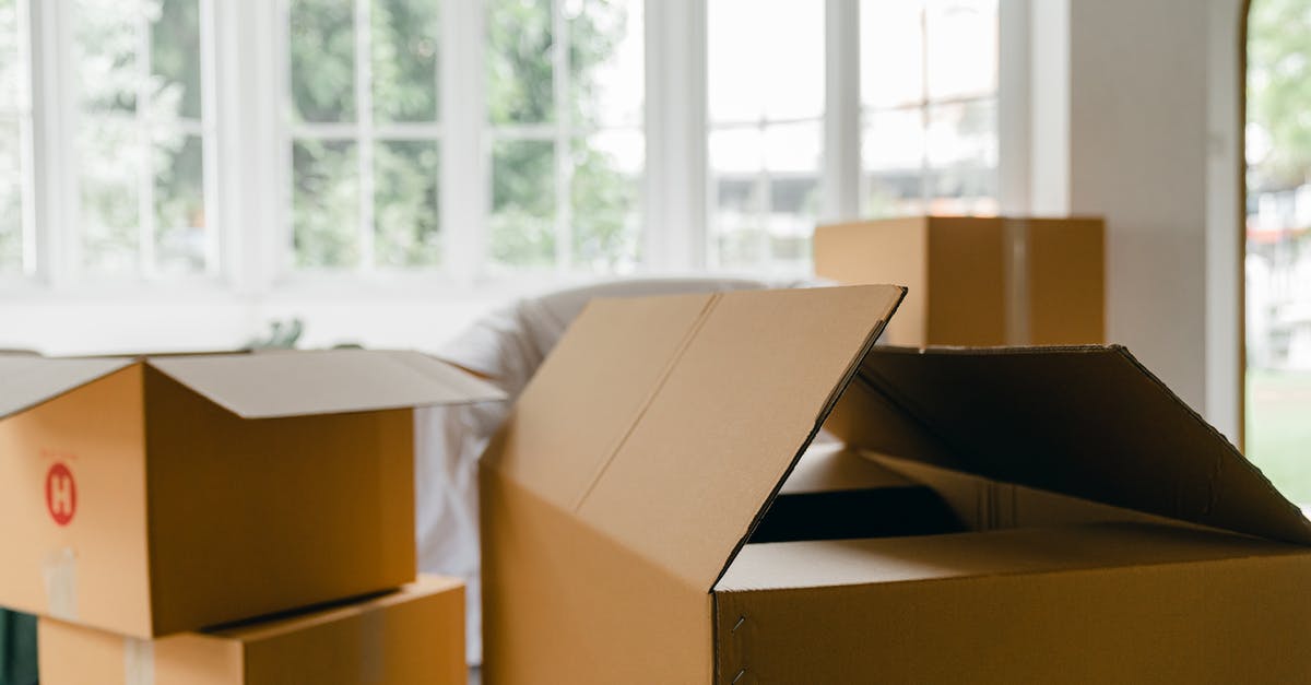 Should I buy a used flat griddle? - Unpacked boxes in middle of room Should I buy a used flat griddle? - Unpacked boxes in middle of room