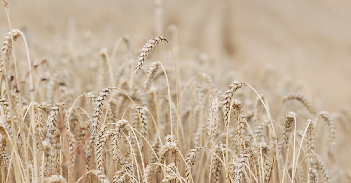 Should I delay adding barley when making vegetable barley soup? - Ähren