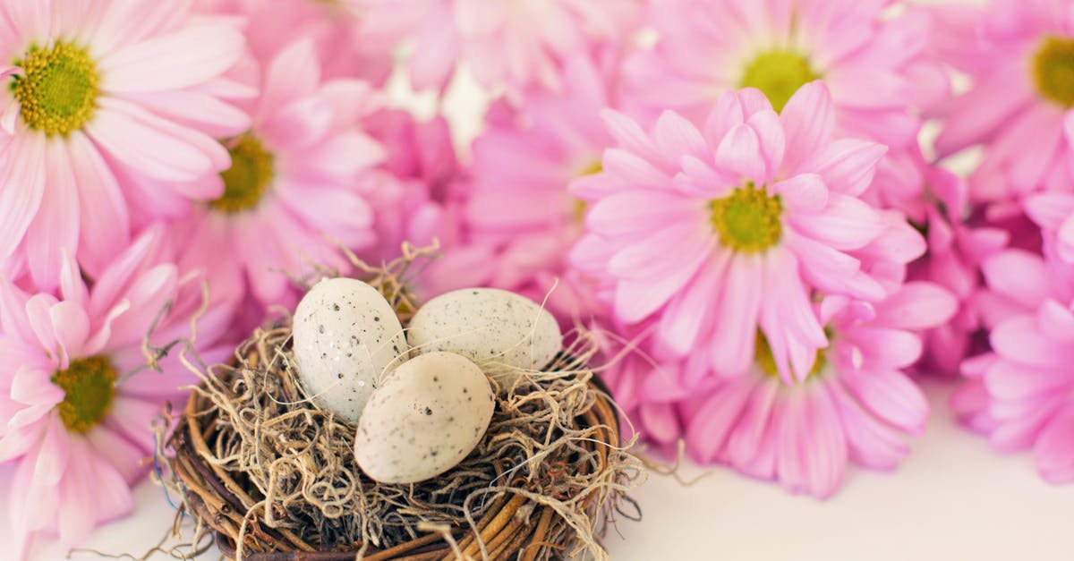 Should I include egg shells in my stock? - Photo Of Eggs Near Pink Flowers Should I include egg shells in my stock? - Photo Of Eggs Near Pink Flowers