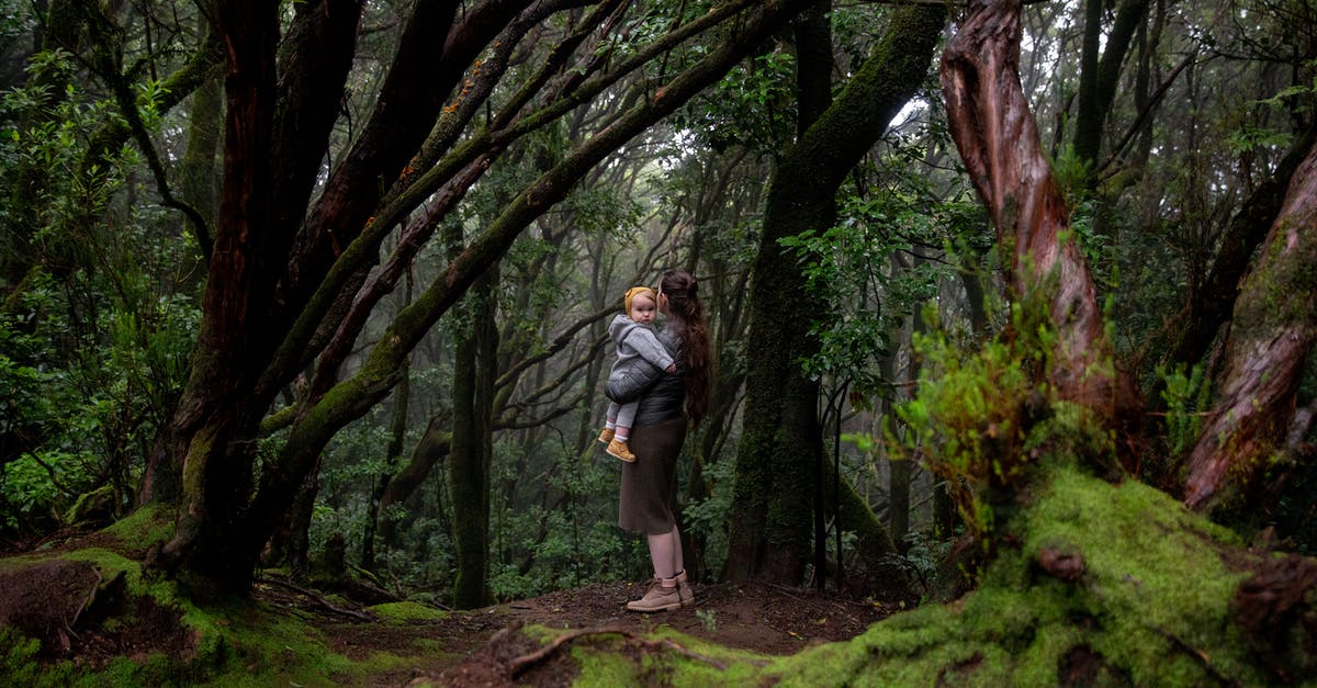 Should I worry about these green lentils? - Anonymous mother hugging son in deep forest Should I worry about these green lentils? - Anonymous mother hugging son in deep forest