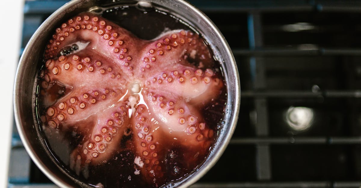 Should octopus be cooked twice? - Octopus in a Cooking Pot Should octopus be cooked twice? - Octopus in a Cooking Pot