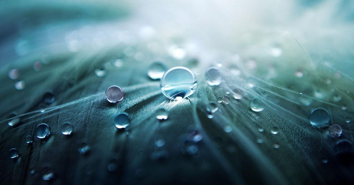 Should you wash raspberries? - Water Droplets on Gray Textile