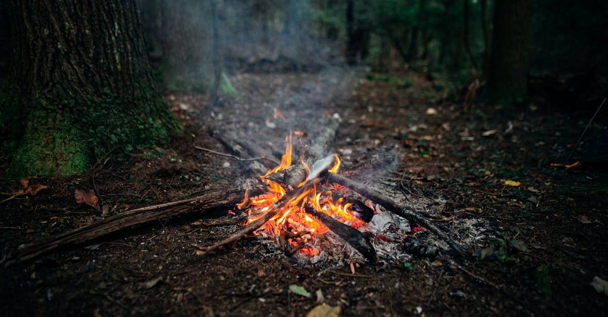 Slowing motor and electric smoke coming from Magic Bullet blender? - Flaming campfire on ground in woods Slowing motor and electric smoke coming from Magic Bullet blender? - Flaming campfire on ground in woods