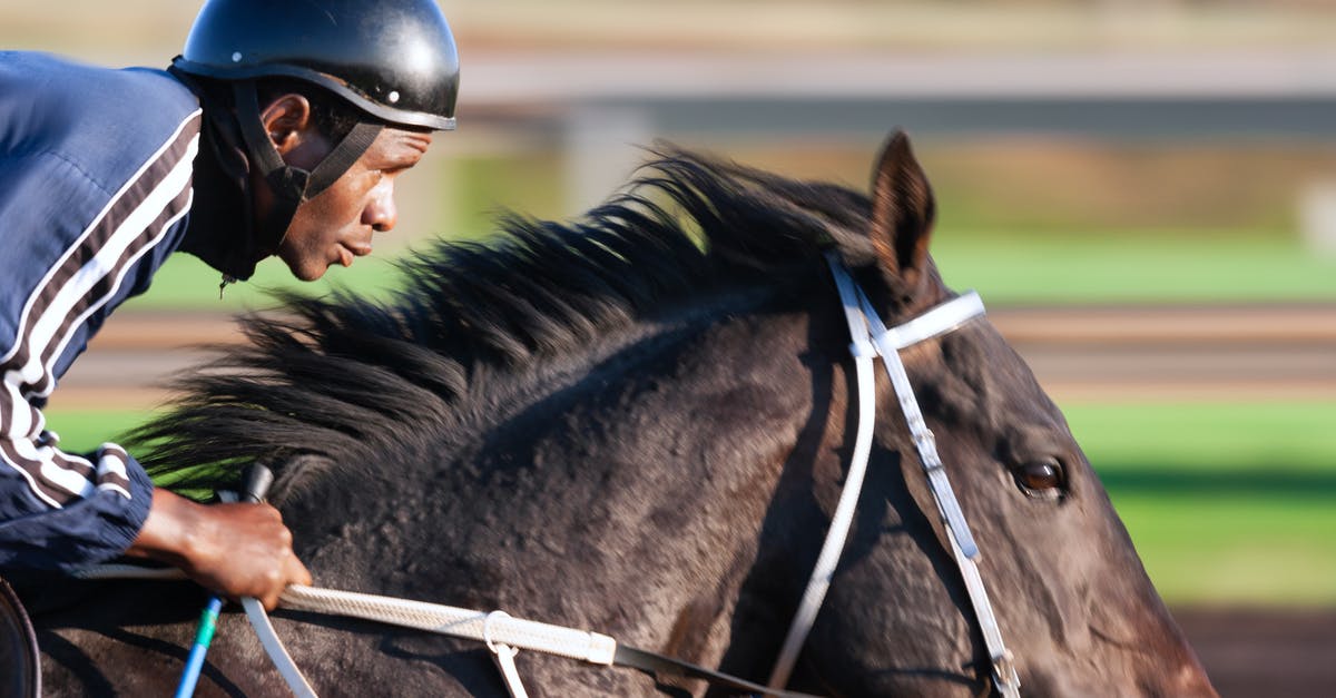 Smell Something Burning. Course of action? - Tilt Shift Focus Photography of Man Riding Horse Smell Something Burning. Course of action? - Tilt Shift Focus Photography of Man Riding Horse