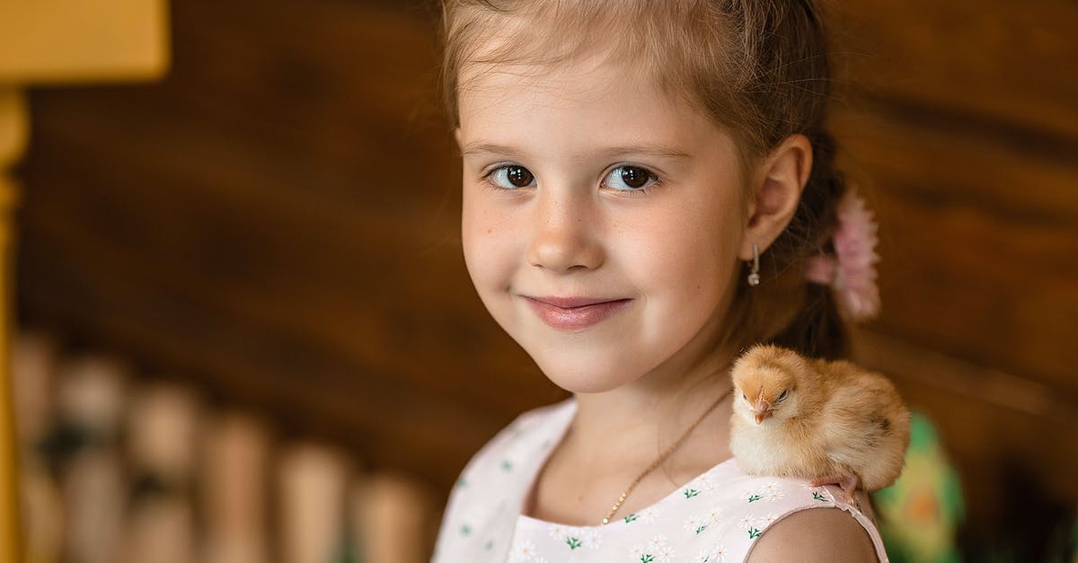 Smoking pork shoulder in a little chief - Cute girl with chick on shoulder Smoking pork shoulder in a little chief - Cute girl with chick on shoulder