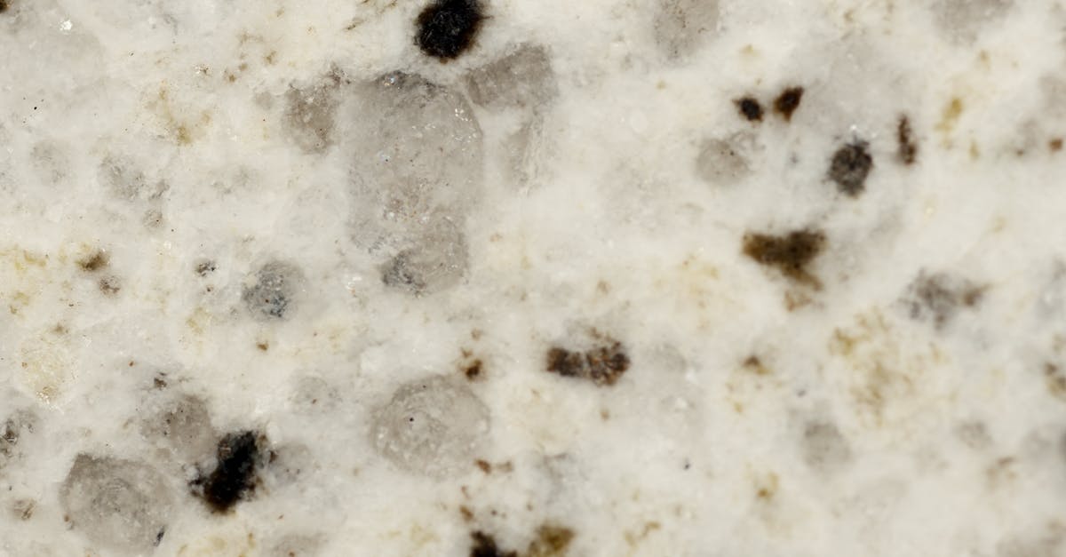 Sourdough Starter Black Spots - Black and Gray Speckles on Surface Sourdough Starter Black Spots - Black and Gray Speckles on Surface