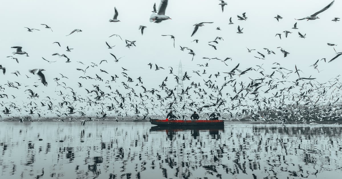Sous vide air bubble, still safe to eat? - People in boat floating among birds Sous vide air bubble, still safe to eat? - People in boat floating among birds