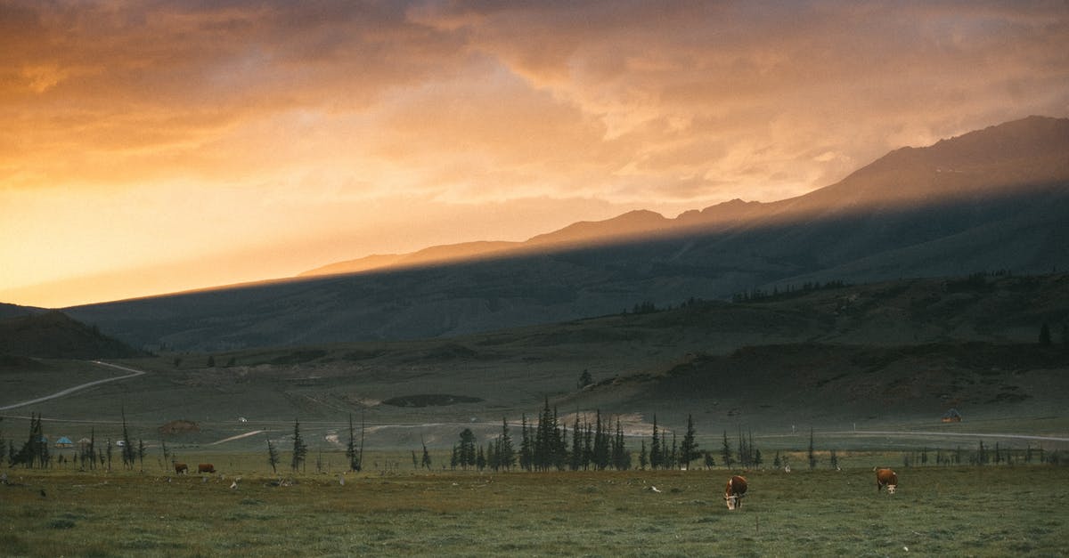 Sous vide air bubble, still safe to eat? - Animals grazing in pasture against ridge under sunset sky Sous vide air bubble, still safe to eat? - Animals grazing in pasture against ridge under sunset sky