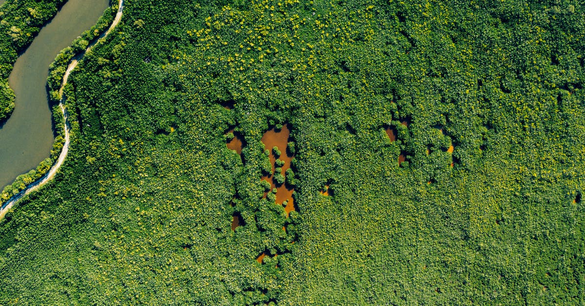 Sous Vide danger zone for vegetables - Drone view of lush green trees growing near narrow wavy river flow in daylight in summer in rural zone Sous Vide danger zone for vegetables - Drone view of lush green trees growing near narrow wavy river flow in daylight in summer in rural zone