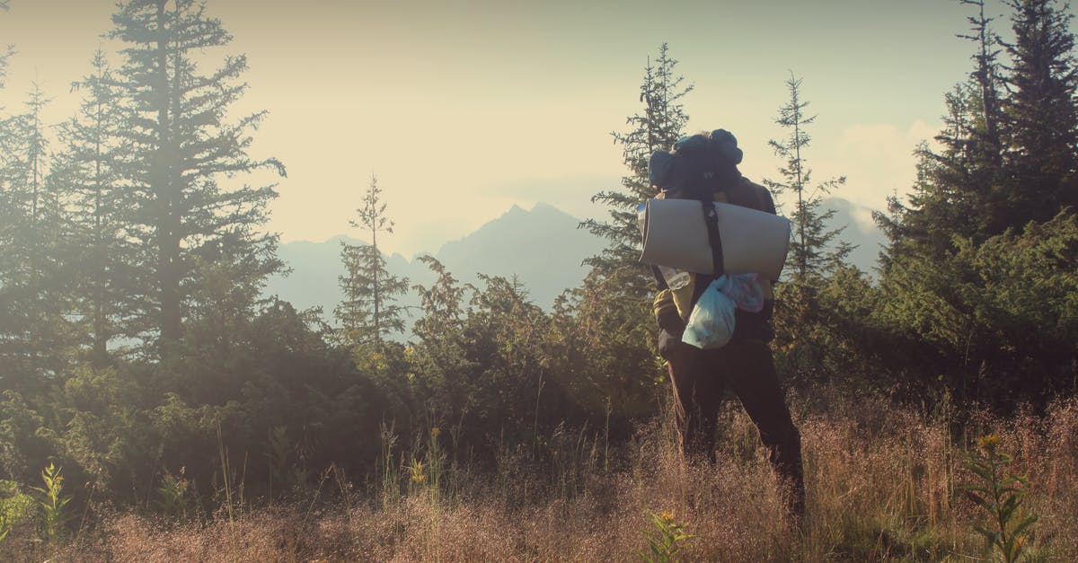 Soy chicken on a backpacking trip - Man Standing on Green Grass Soy chicken on a backpacking trip - Man Standing on Green Grass