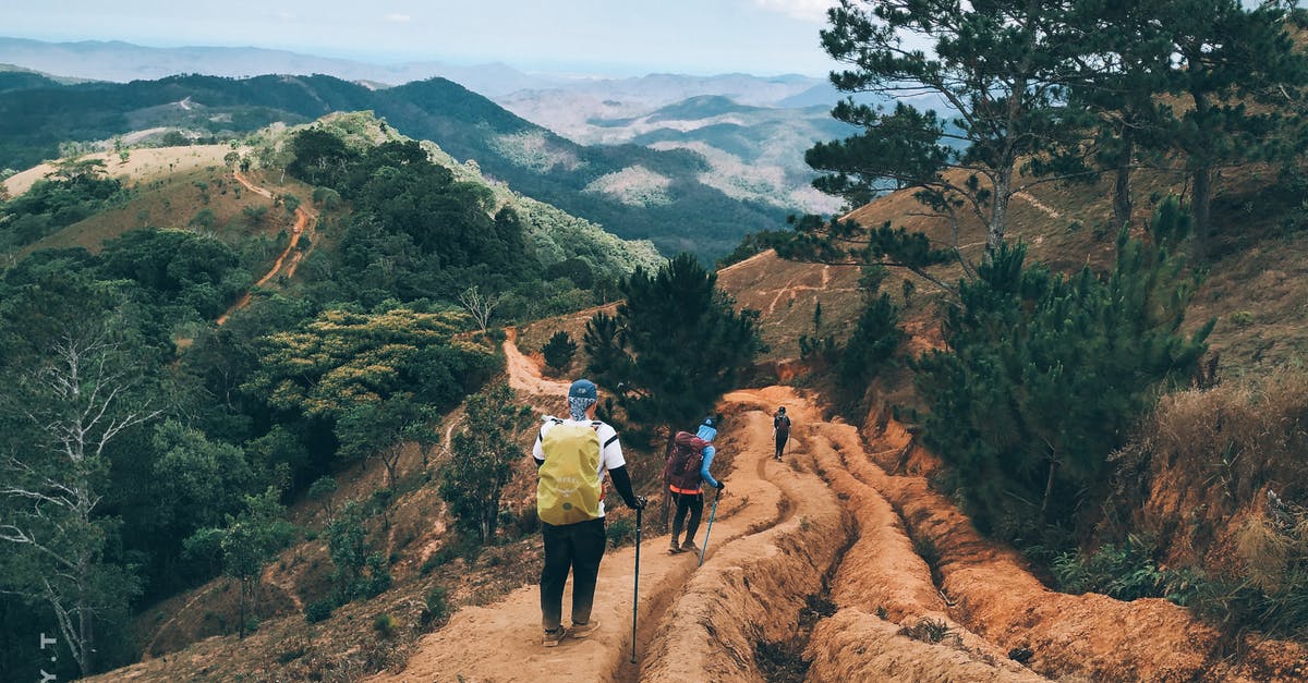 Soy chicken on a backpacking trip - Back view of unrecognizable hikers with trekking poles traveling in green hilly valley Soy chicken on a backpacking trip - Back view of unrecognizable hikers with trekking poles traveling in green hilly valley