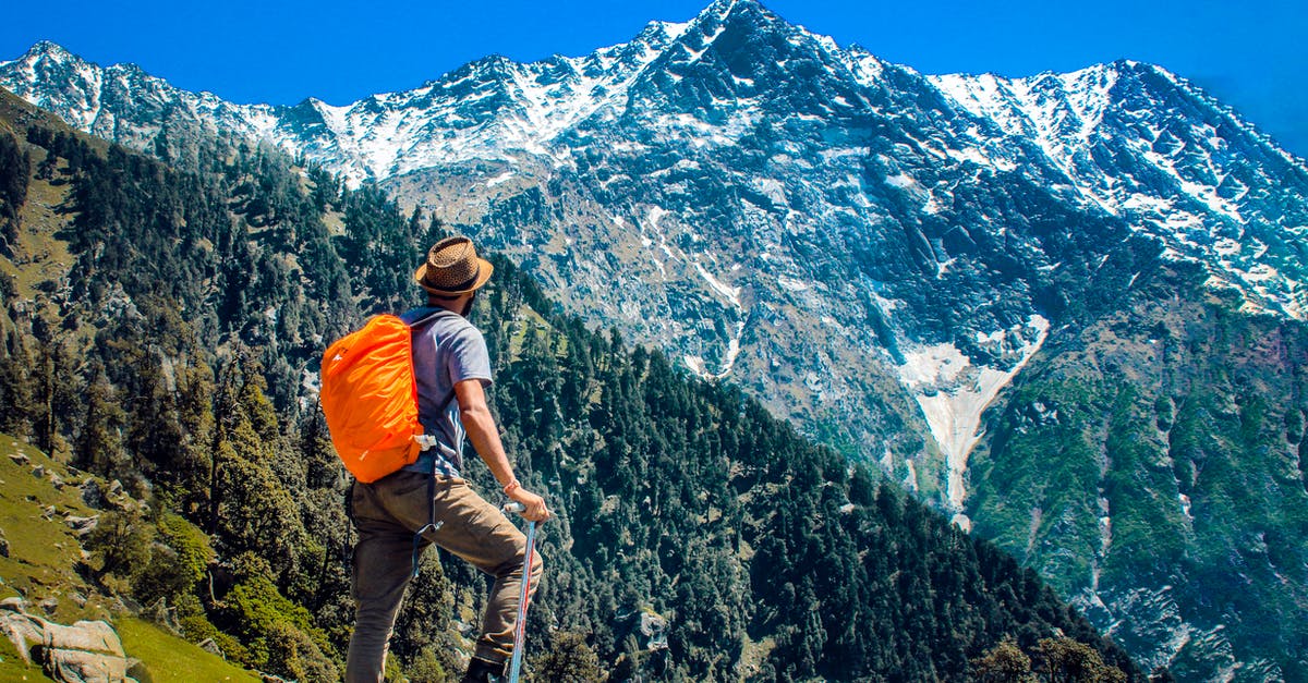 Soy chicken on a backpacking trip - Man Wearing Blue Shirt Standing on Cliff While Watching Mountain Soy chicken on a backpacking trip - Man Wearing Blue Shirt Standing on Cliff While Watching Mountain