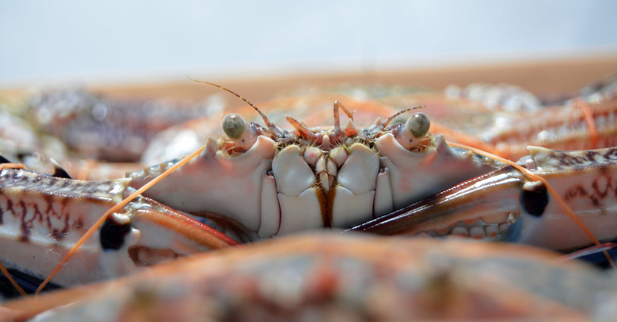 Spotting frozen seafood in restaurants - Close-Up Photo of Crab Spotting frozen seafood in restaurants - Close-Up Photo of Crab