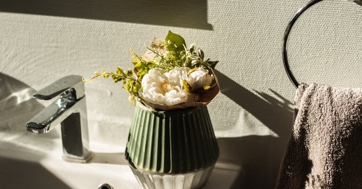 Stainless vs Enameled Porcelain Grates? - Bouquet of fresh flowers in vase on sink in bathroom Stainless vs Enameled Porcelain Grates? - Bouquet of fresh flowers in vase on sink in bathroom