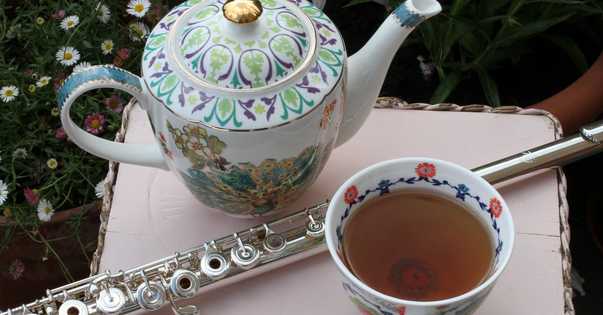 Stainless vs Enameled Porcelain Grates? - Flute Beside a Cup of Tea Stainless vs Enameled Porcelain Grates? - Flute Beside a Cup of Tea