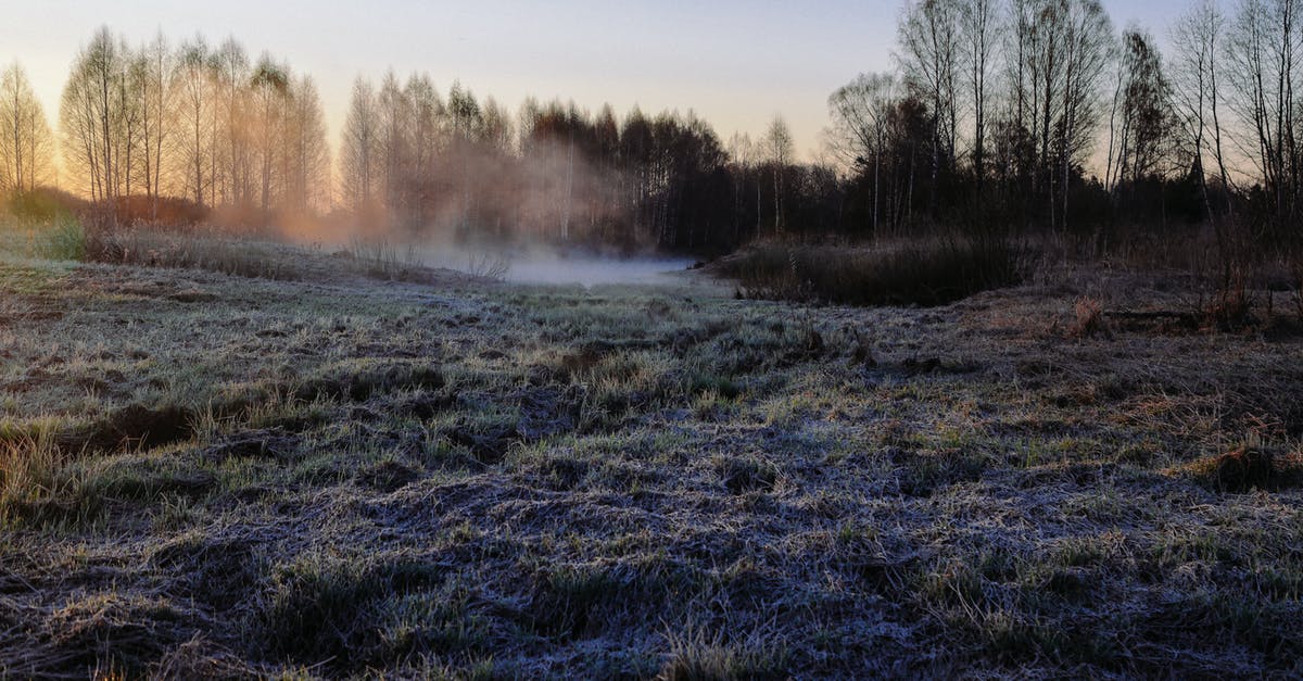 Steaming and steam temperature - Grassy terrain covered with hoarfrost located in countryside among trees in frosty morning Steaming and steam temperature - Grassy terrain covered with hoarfrost located in countryside among trees in frosty morning