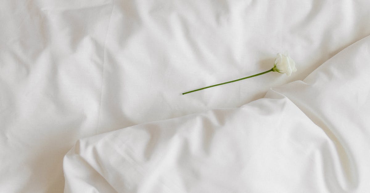 Stodgy crumpet-like crumb in overnight white - Green and Yellow Plastic Stick on White Textile Stodgy crumpet-like crumb in overnight white - Green and Yellow Plastic Stick on White Textile