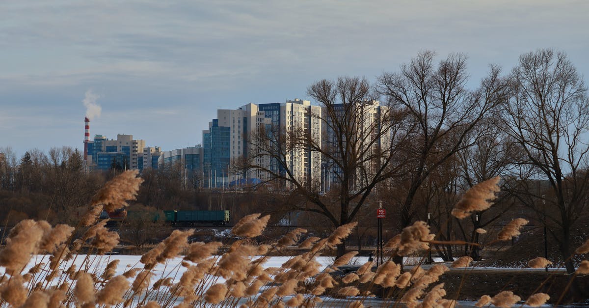 Store bought Frozen Chicken Breast inc added water - Bare Trees Near City Buildings Store bought Frozen Chicken Breast inc added water - Bare Trees Near City Buildings