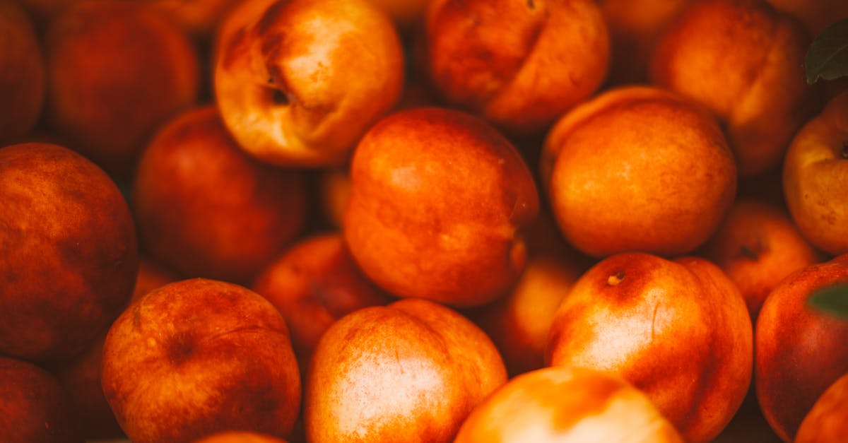 Storing fresh peaches for a long time - Close Up Photo of Peaches Storing fresh peaches for a long time - Close Up Photo of Peaches