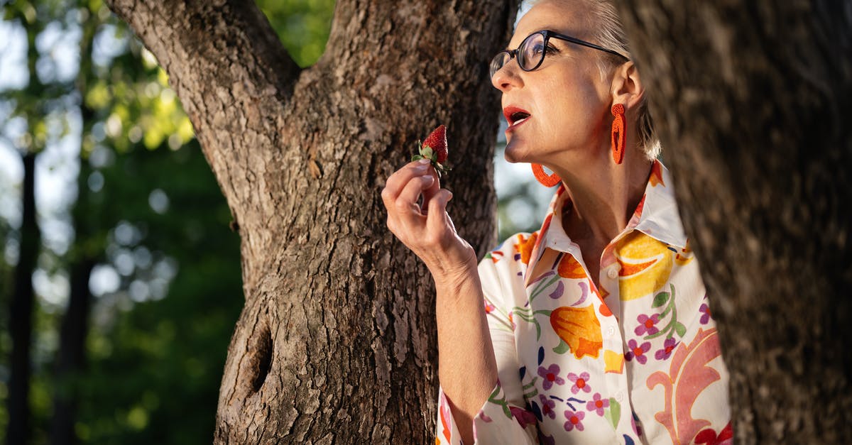 strawberry and fig vincotto - Woman in White Red and Yellow Floral Shirt Wearing Eyeglasses strawberry and fig vincotto - Woman in White Red and Yellow Floral Shirt Wearing Eyeglasses