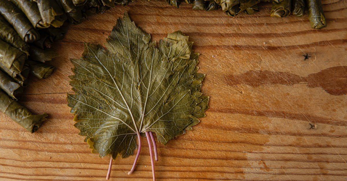 Subsitute in this kale and grape recipe - Pile of sarma near vine leaf on table Subsitute in this kale and grape recipe - Pile of sarma near vine leaf on table