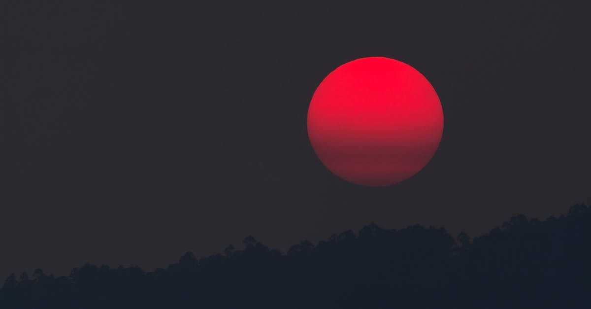 Substitute for blood? - Red Moon during Night Time Substitute for blood? - Red Moon during Night Time